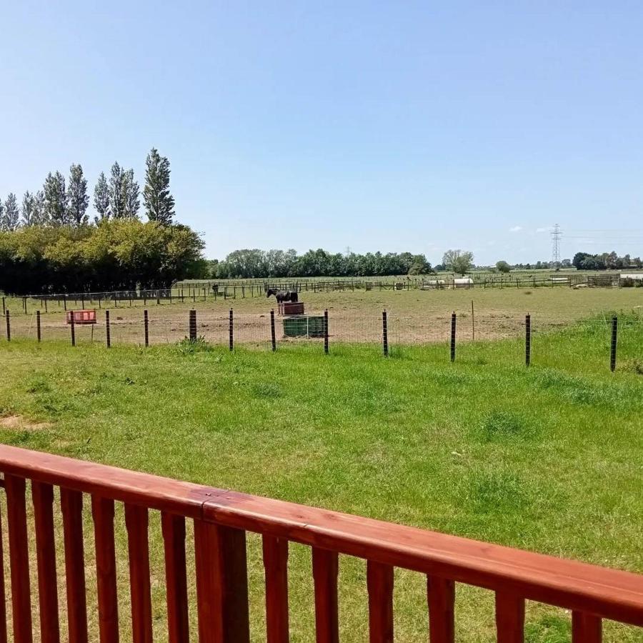 Campsite Woodpecker Shepherds Hut Boston
