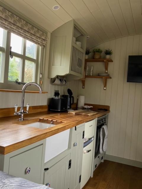 Woodpecker Shepherds Hut Boston