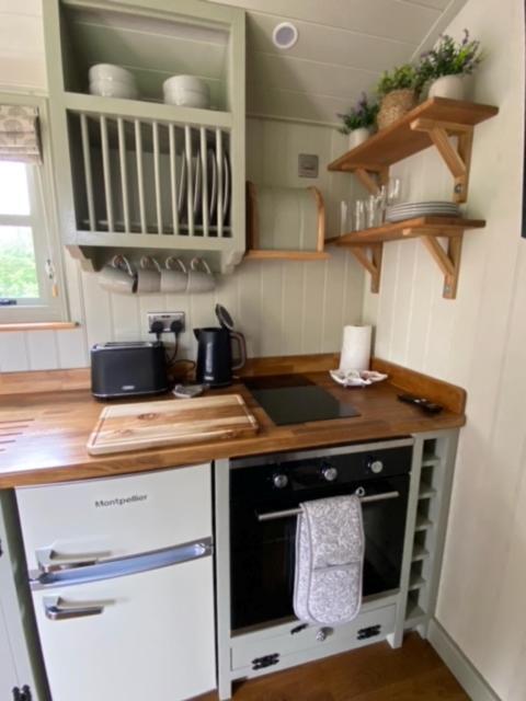 Woodpecker Shepherds Hut Boston
