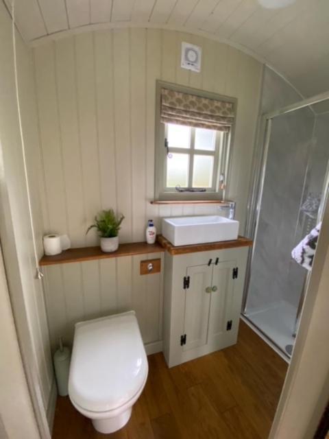 Campsite Woodpecker Shepherds Hut