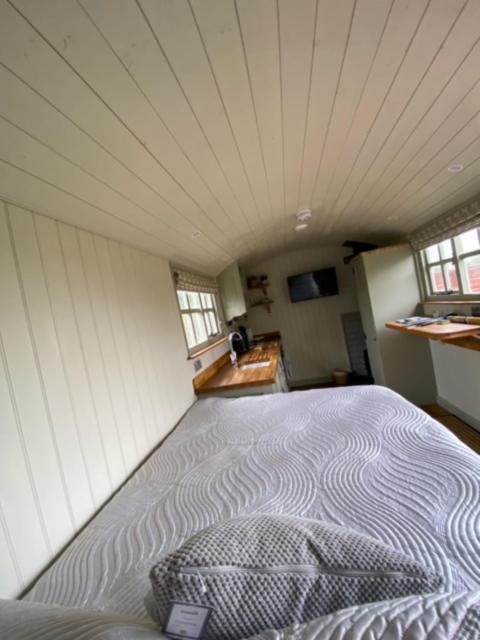 Woodpecker Shepherds Hut Boston